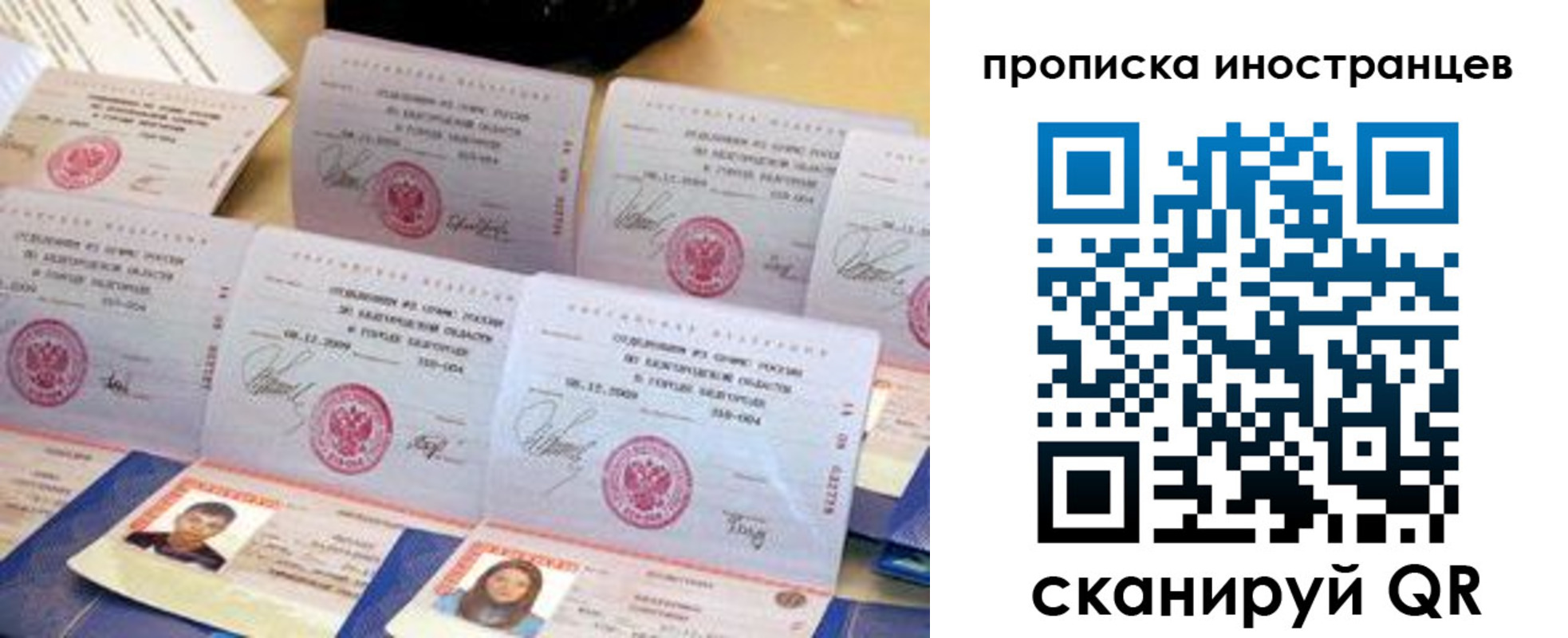 прописка для школы в Коле